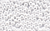 Seed Beads - 10364