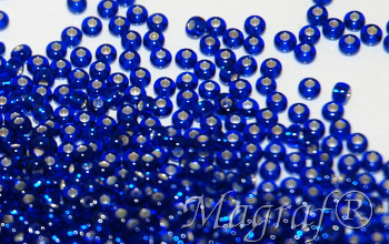 Seed Beads - 20031